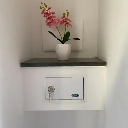 Orchidea 파르겔리아